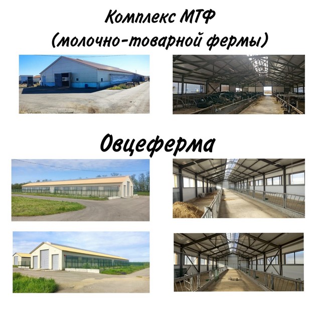 foto 2025 06 09 11 00 002